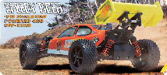 Smartech Speedy Tiger 1:10 Nitro Gas Off-Road Buggy Ready-to-Run